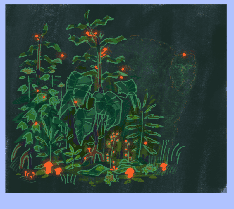 plants and spirit